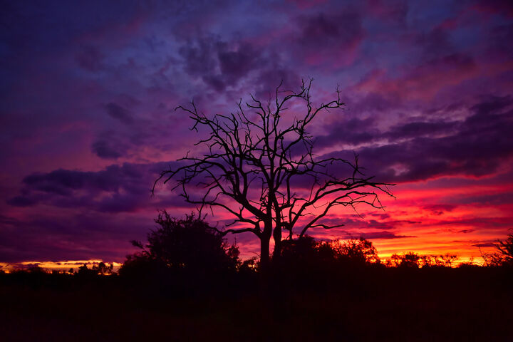 Beautiful sunset at the Mosetlha Bush Camp