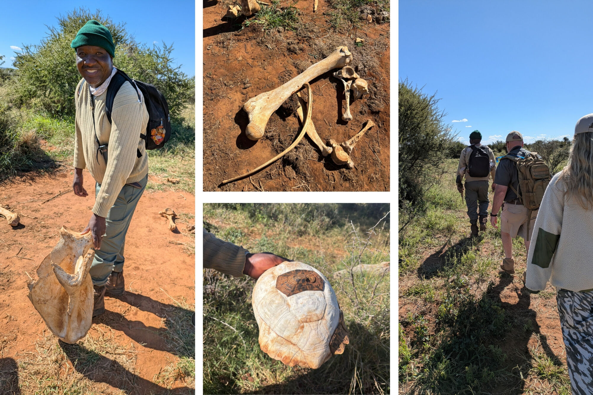 Madikwe walking safaris and bush walks