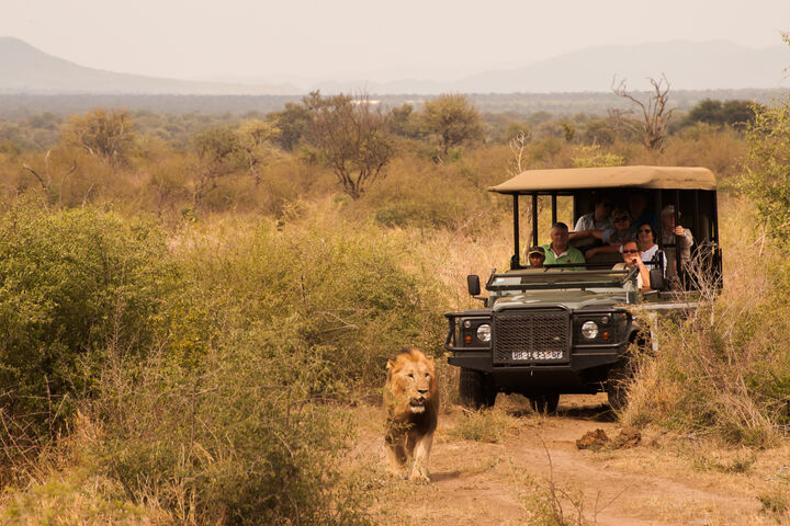 Game drive 1