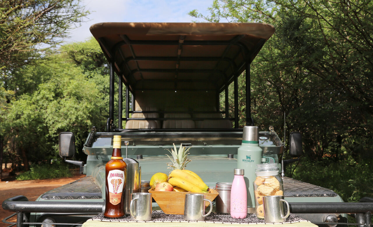 Breakfast snacks on a Land Rover at the Mosetlha Bush Camp