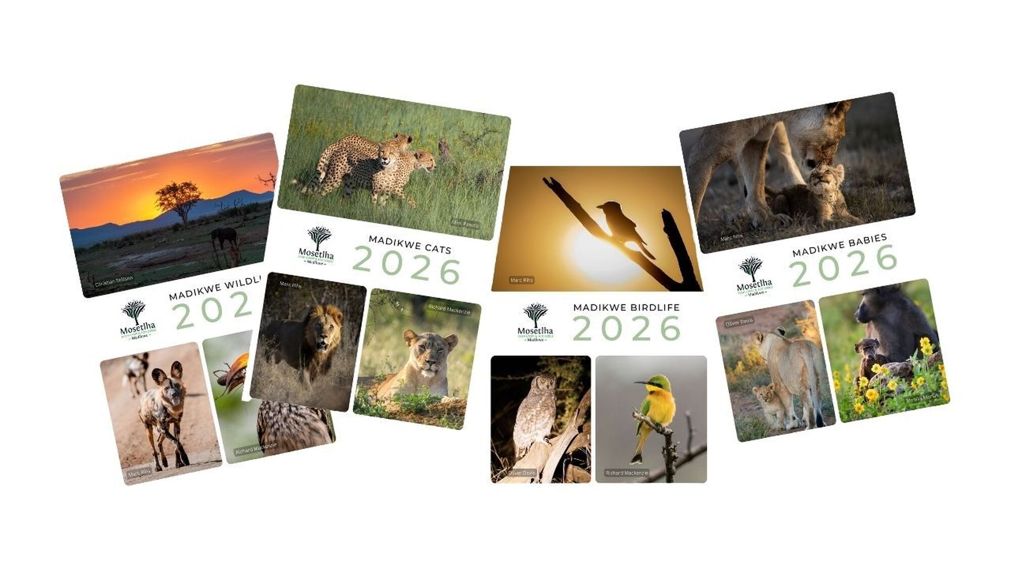 Newsletter Image calendars 2026